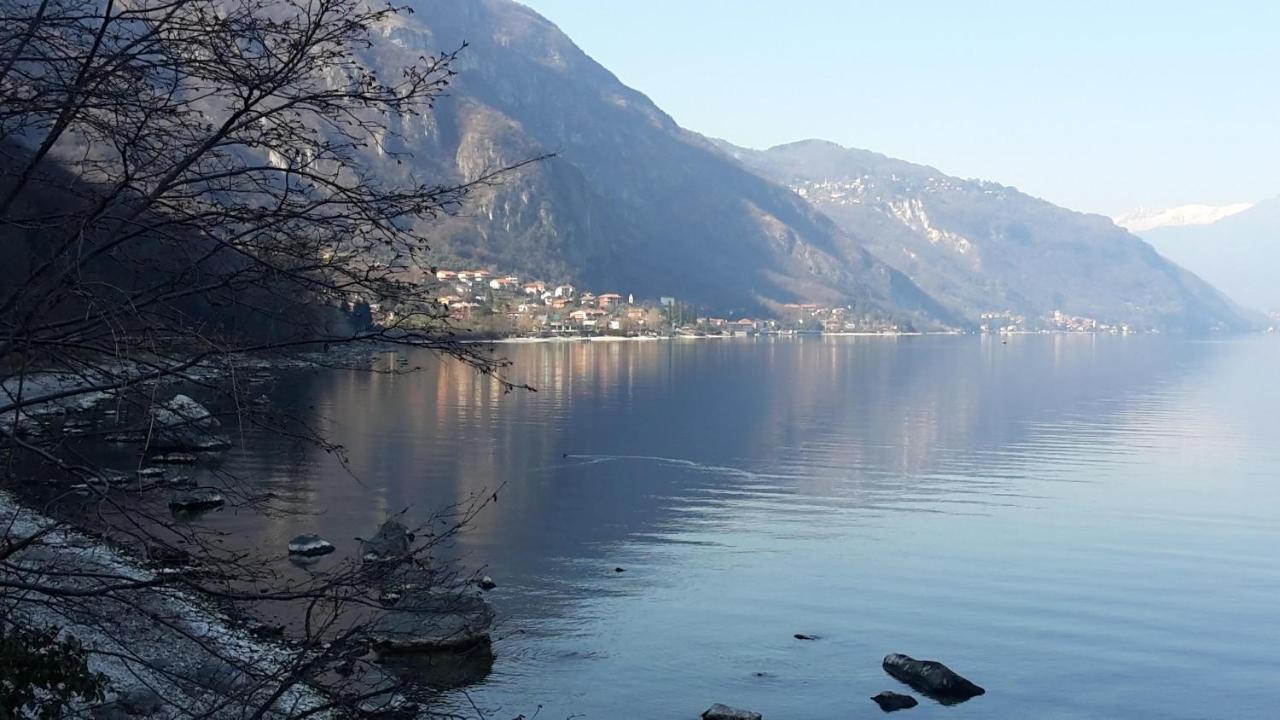 New Eleven Apartment On Como Lake Oliveto Lario Dış mekan fotoğraf